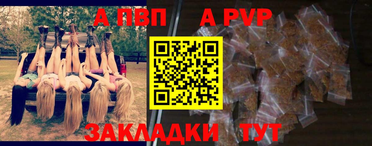 Alfa_PVP СК Унеча