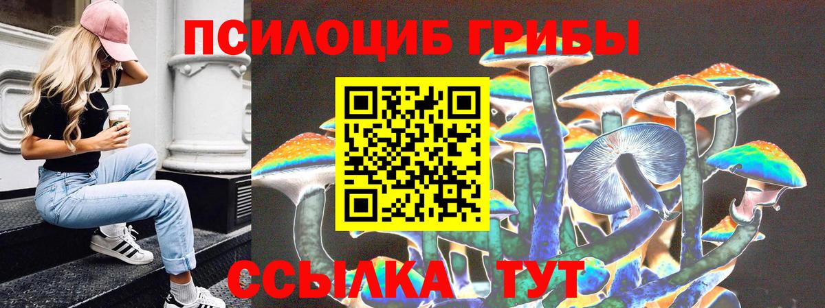 Псилоцибиновые грибы Cubensis Унеча
